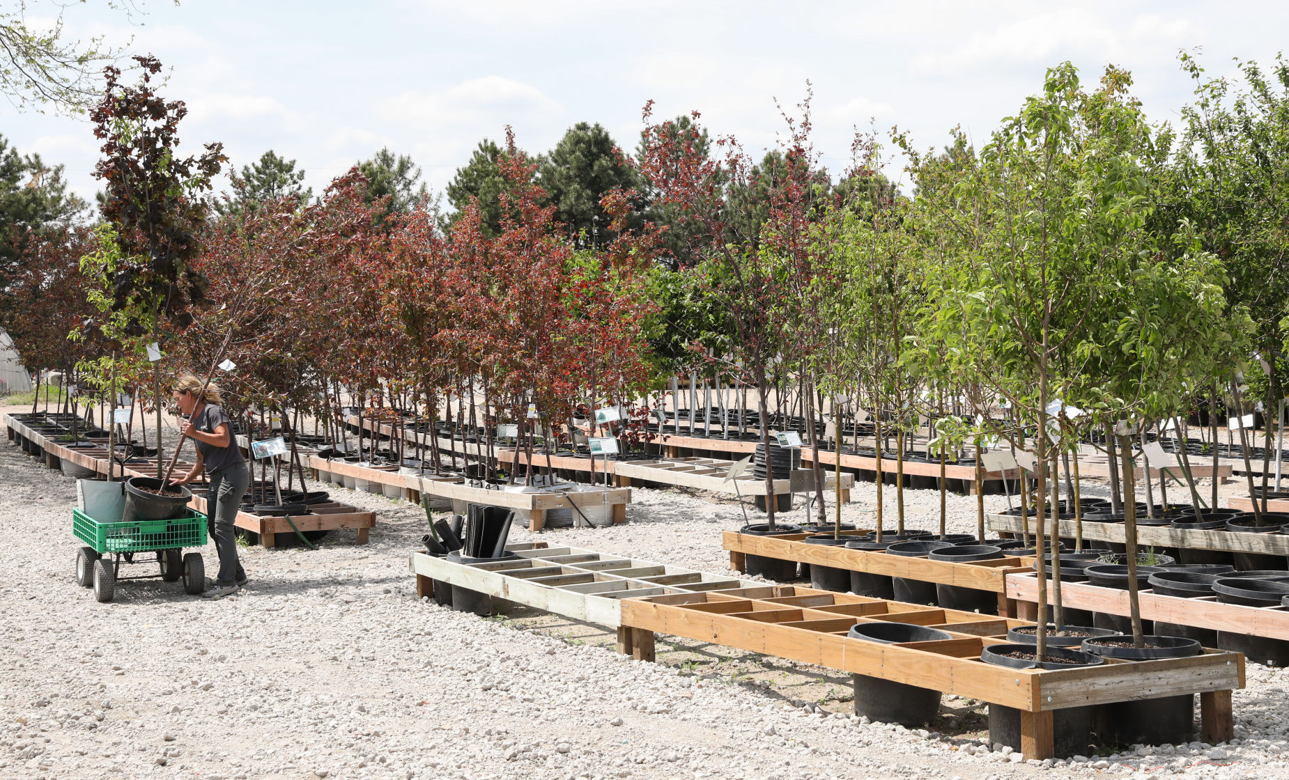 Steinbrink Landscaping & Greenhouses